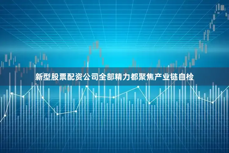 新型股票配资公司全部精力都聚焦产业链自检