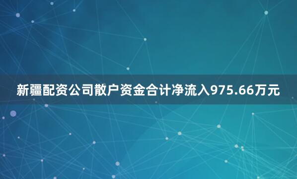 新疆配资公司散户资金合计净流入975.66万元